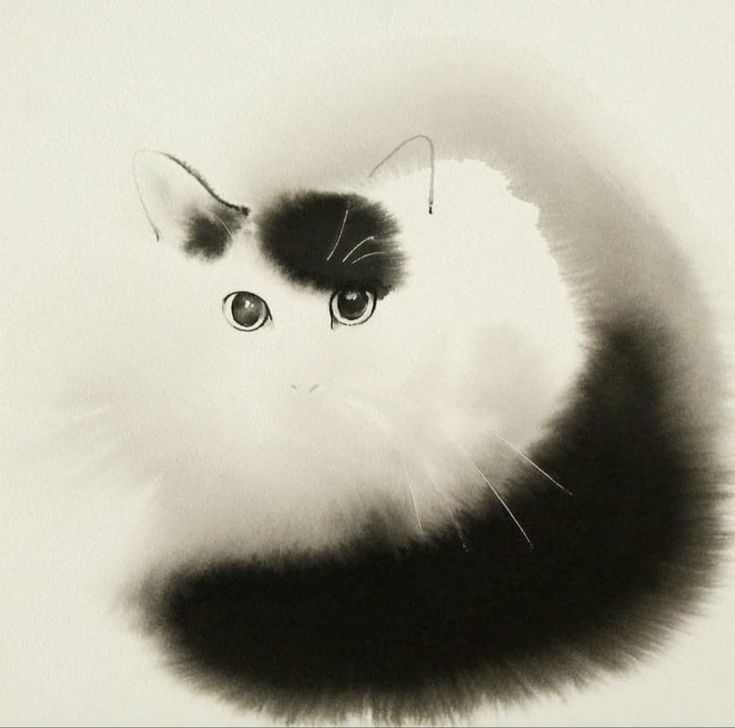 The image of a cat begins to emerge from the paper, starting with highly detailed eyes and very loosely sketched white and black fur on its back and tail. 