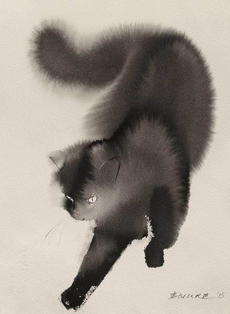 Endre Penovac's ink wash paintings of cats are also popular online.