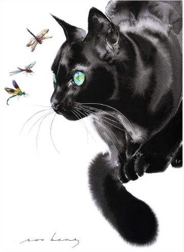 A cat watches many different kinds of dragonflies.