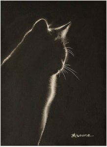 A cat is outlined by the light.